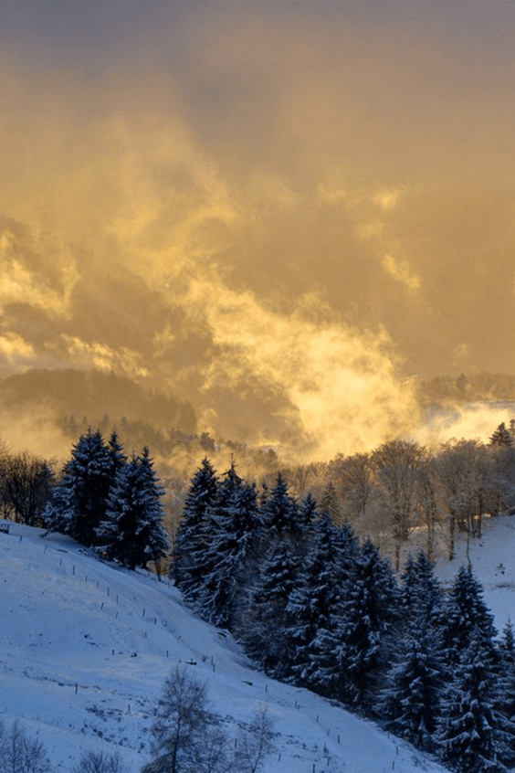 Aussicht auf Natur und Tal in der Nähe des Dienberger Hofs